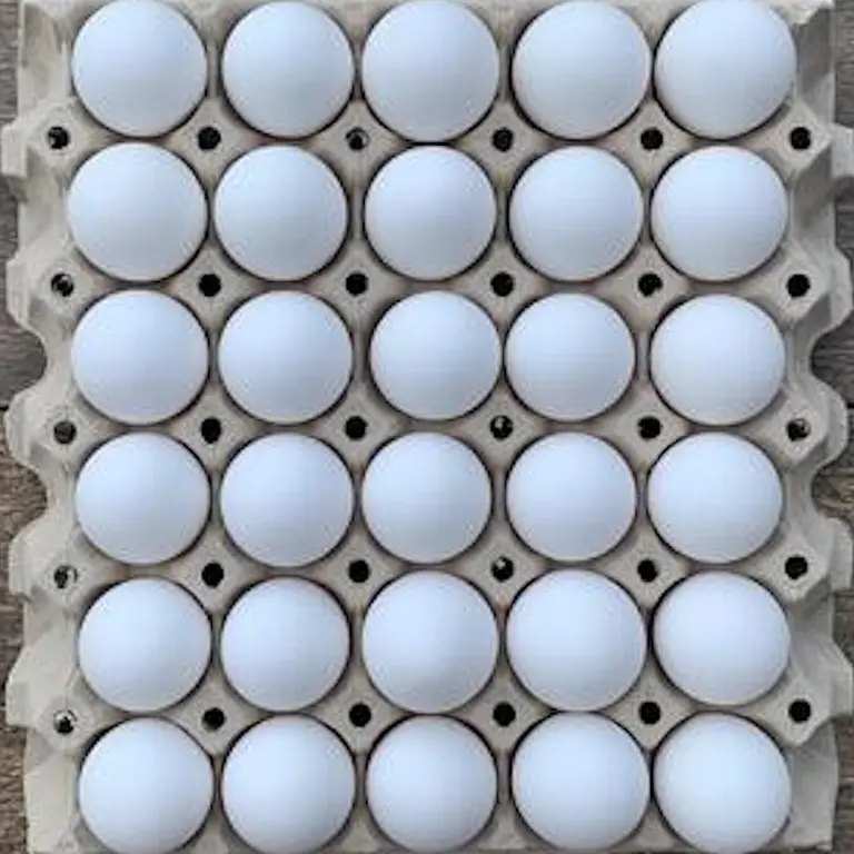 Egg Økologiske Medium