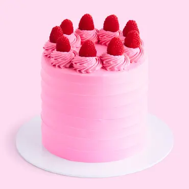Soulcake Party Cake -Chocolate/Raspberry