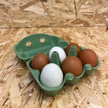 Egg frå Vestlandet økologisk