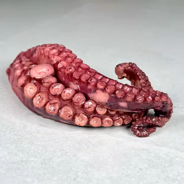Blekksprut kokt, hjemmelaget. (Octopus)