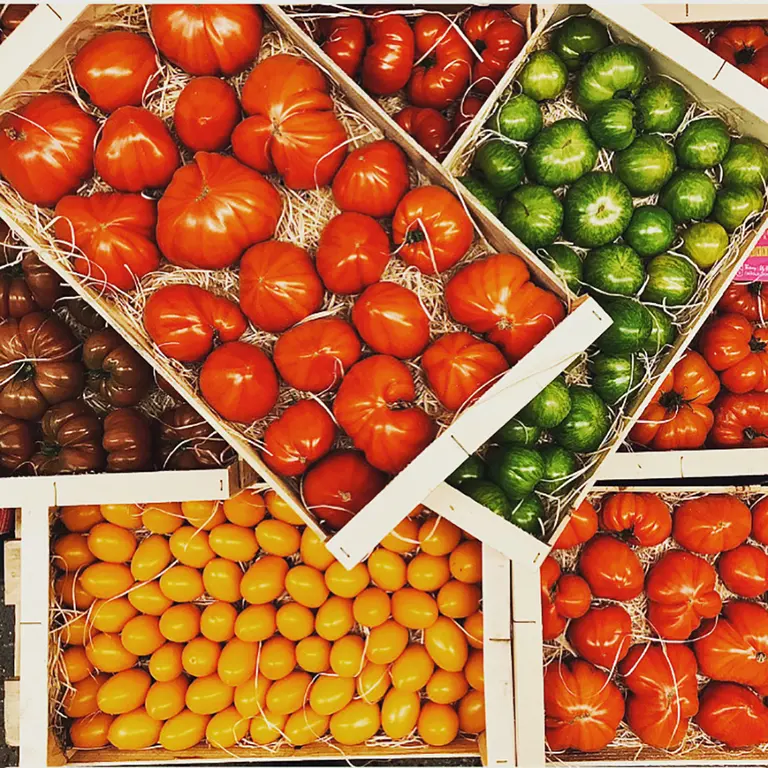 Tomater fra Provence
