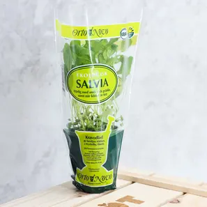 Ekologisk Salvia