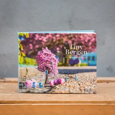 Tiny Bergen små historier..
