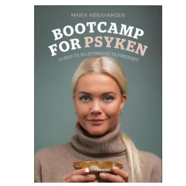 Bootcamp for psyken