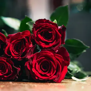 Blomsterbukett - Röda rosor