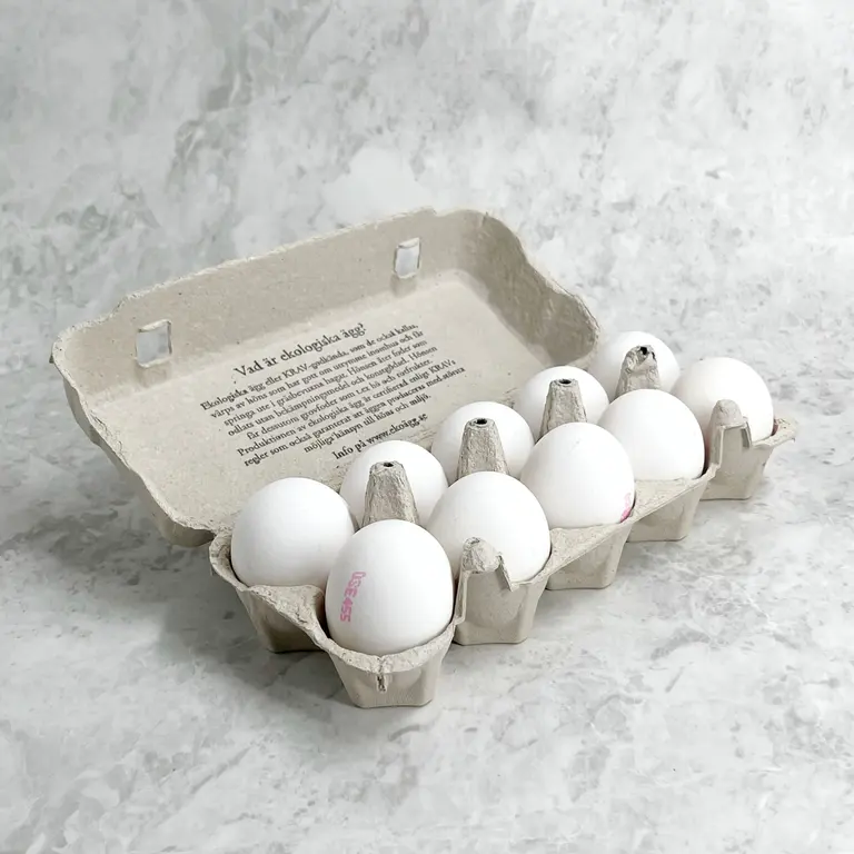 Ekologiska ägg, 15-pack