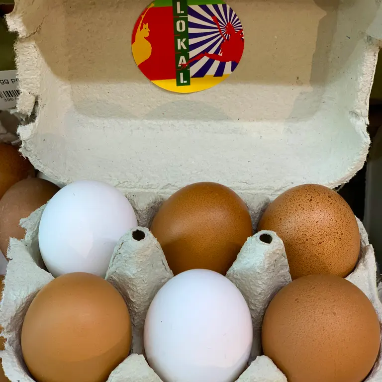 Egg fra Runar Sørli, øko