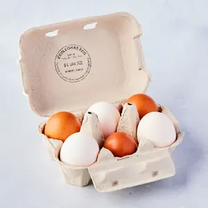 Økologiske egg fra Horgen Gård