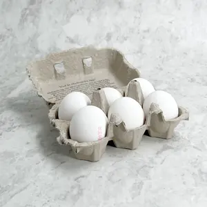 Ekologiska ägg, 6 pack