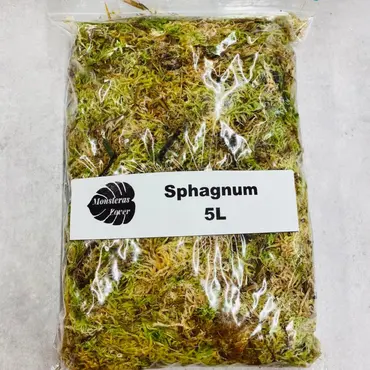 Sphagnum mose - 5 liter