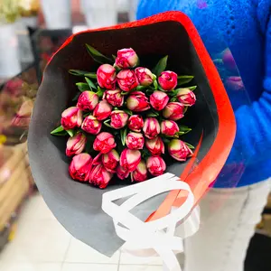 Røde Doble Tulipaner