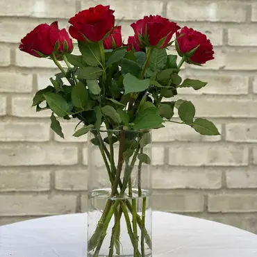 Røde roser 🌹