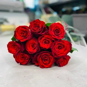 Røde Roser - Lovely - 10 stk